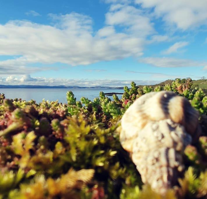 Tobar Nan Iasgair Lismore Achnacroish 外观 照片